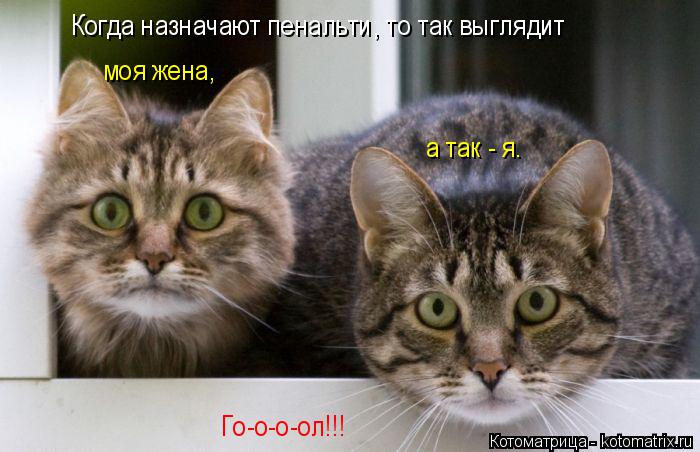 Котоматрица: Когда назначают пенальти, то так выглядит моя жена, а так - я. Го-о-о-ол!!!