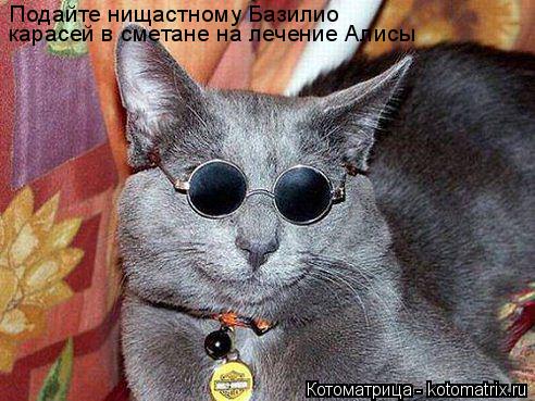 Котоматрица: Подайте нищастному Базилио карасей в сметане на лечение Алисы