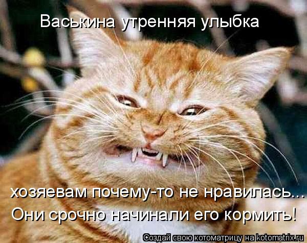 Котоматрица: Васькина утренняя улыбка  хозяевам почему-то не нравилась... Они срочно начинали его кормить!