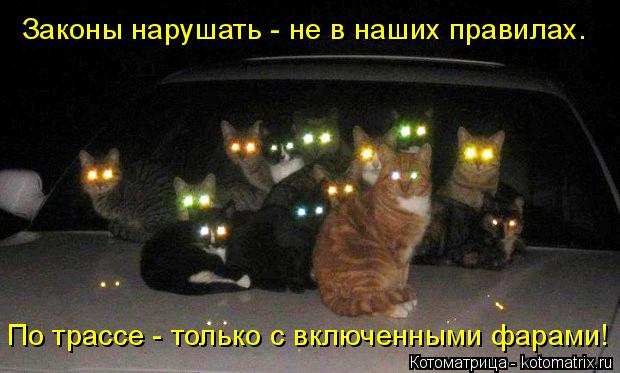 Законы нарушать - не в наших правилах. По трассе - только с включенными фарами!... Котоматрица: Законы нарушать - не в наших правилах. По трассе - только с включенными фарами!