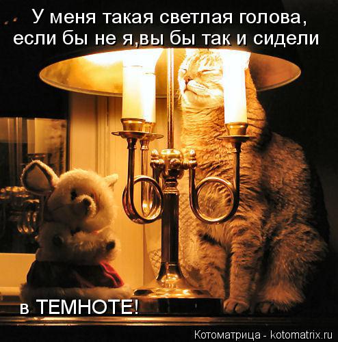 Котоматрица: У меня такая светлая голова, если бы не я,вы бы так и сидели в ТЕМНОТЕ!