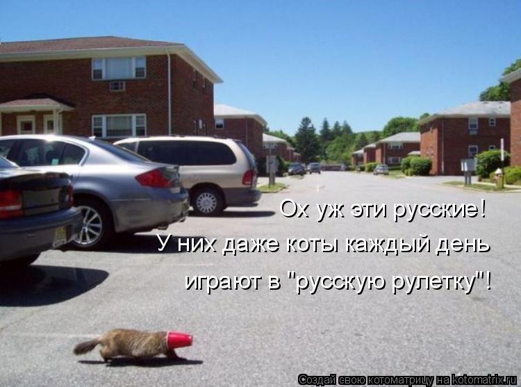 Котоматрица: Ох уж эти русские! У них даже коты каждый день играют в "русскую рулетку"!