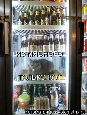 Котоматрица: ТОЛЬКО КОТ   ИЗ МЯСНОГО -