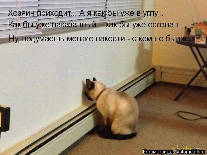 Котоматрица: Хозяин приходит... А я как бы уже в углу...  Как бы уже наказанный... как бы уже осознал... Ну, подумаешь мелкие пакости - с кем не бывает....