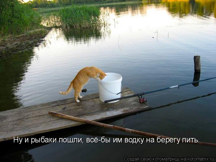 Котоматрица: Ну и рыбаки пошли, всё-бы им водку на берегу пить.