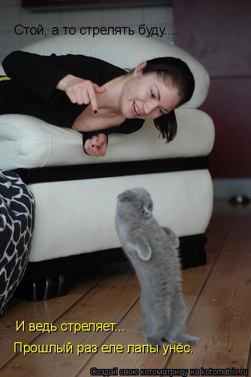 Котоматрица: Стой, а то стрелять буду.... Прошлый раз еле лапы унёс. И ведь стреляет...