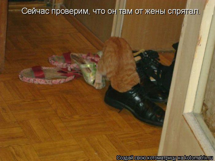 Котоматрица: Сейчас проверим, что он там от жены спрятал.