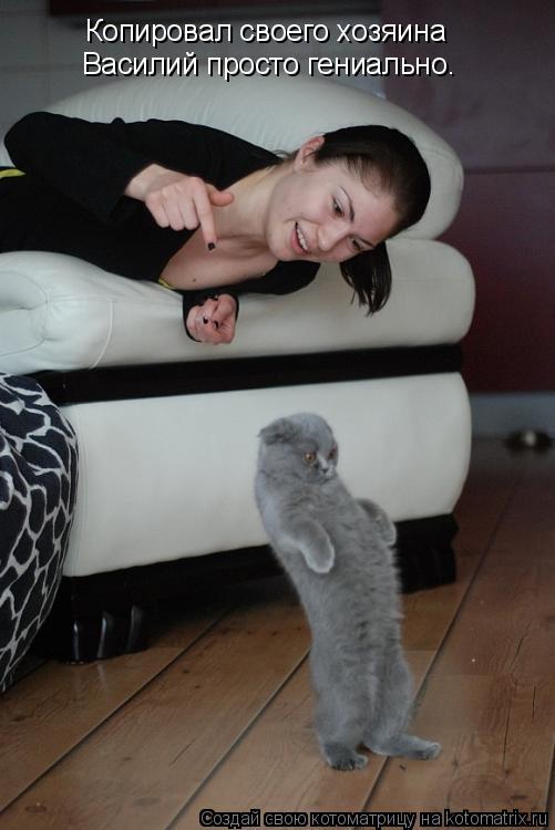 Котоматрица: Копировал своего хозяина Василий просто гениально.