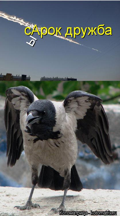 Котоматрица: сАрок дружба ы