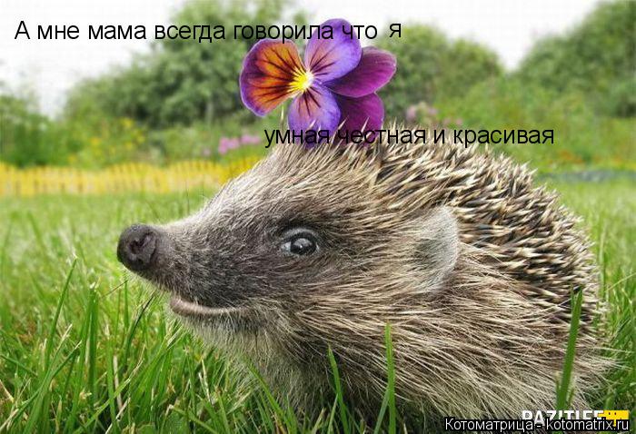 Котоматрица: А мне мама всегда говорила что я умная честная и красивая