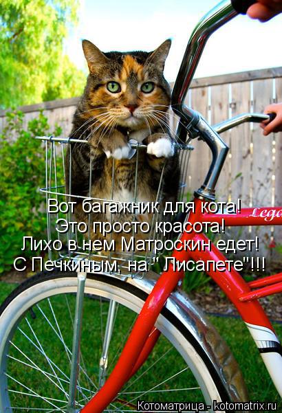 Котоматрица: Вот багажник для кота! Это просто красота! Лихо в нем Матроскин едет! С Печкиным, на " Лисапете"!!!