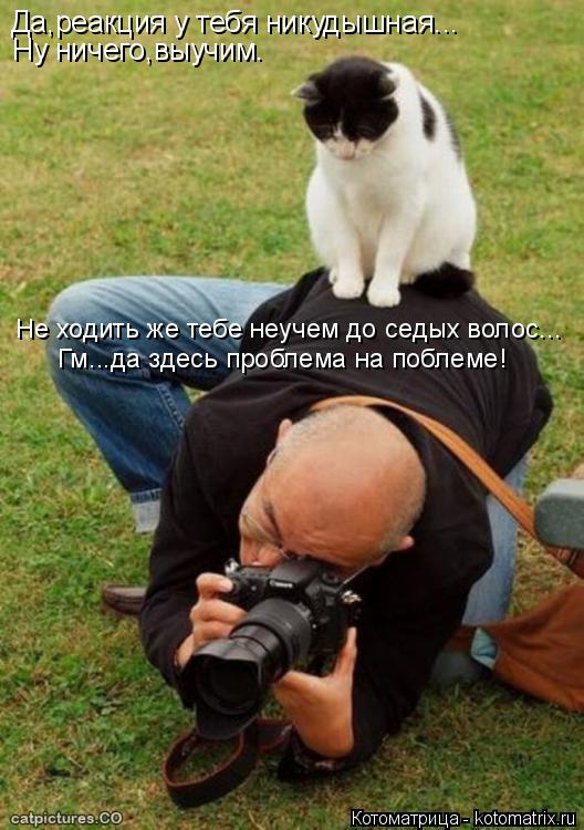 Котоматрица: Да,реакция у тебя никудышная... Ну ничего,выучим. Не ходить же тебе неучем до седых волос... Гм...да здесь проблема на поблеме!