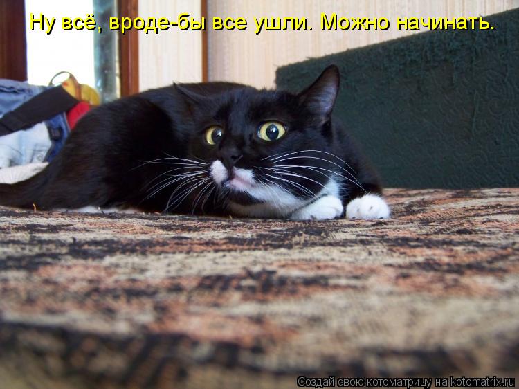 Котоматрица: Ну всё, вроде-бы все ушли. Можно начинать.