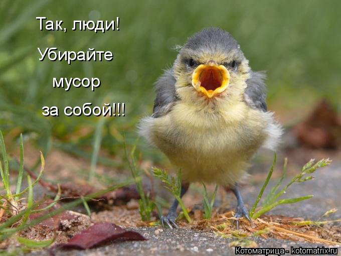 Котоматрица: Так, люди! Убирайте  мусор за собой!!!