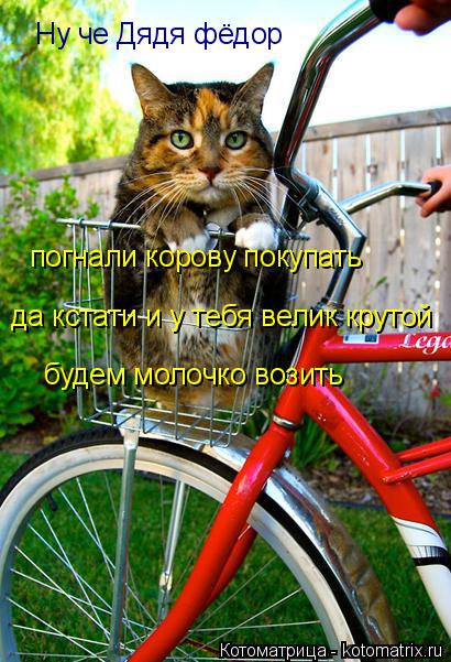 Котоматрица: Ну че Дядя фёдор  погнали корову покупать да кстати и у тебя велик крутой будем молочко возить