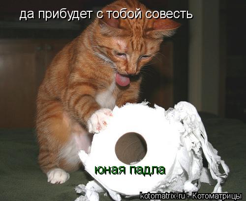 Котоматрица: да прибудет с тобой совесть юная падла
