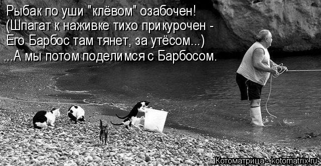 Котоматрица: Рыбак по уши "клёвом" озабочен! (Шпагат к наживке тихо прикурочен - Его Барбос там тянет, за утёсом...) ...А мы потом поделимся с Барбосом.