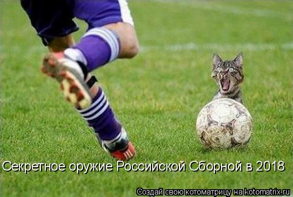 Котоматрица: Секретное оружие Российской Сборной в 2018