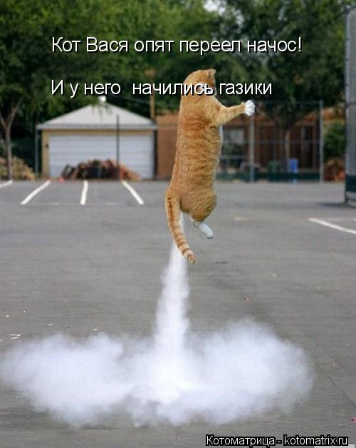 Котоматрица: Кот Вася опят переел начос! И у него  начились газики