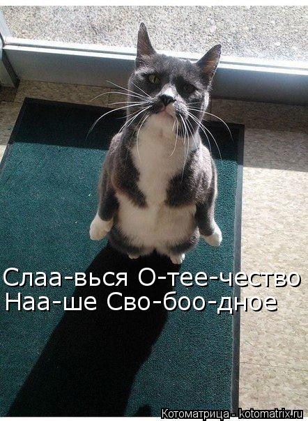 Наа-ше Сво-боо-дное Слаа-вься О-тее-чество... Котоматрица: Наа-ше Сво-боо-дное Слаа-вься О-тее-чество