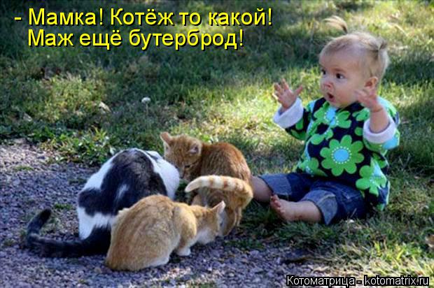 Котоматрица: Маж ещё бутерброд! - Мамка! Котёж то какой!