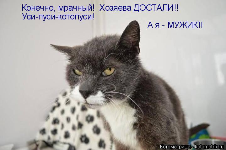 Котоматрица: Конечно, мрачный!  Хозяева ДОСТАЛИ!! Уси-пуси-котопуси! А я - МУЖИК!!