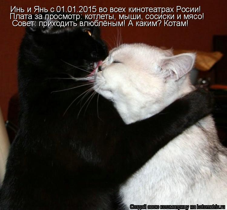 Котоматрица: Инь и Янь с 01.01.2015 во всех кинотеатрах Росии! Плата за просмотр: котлеты, мыши, сосиски и мясо!  Совет: приходить влюблёным! А каким? Котам!