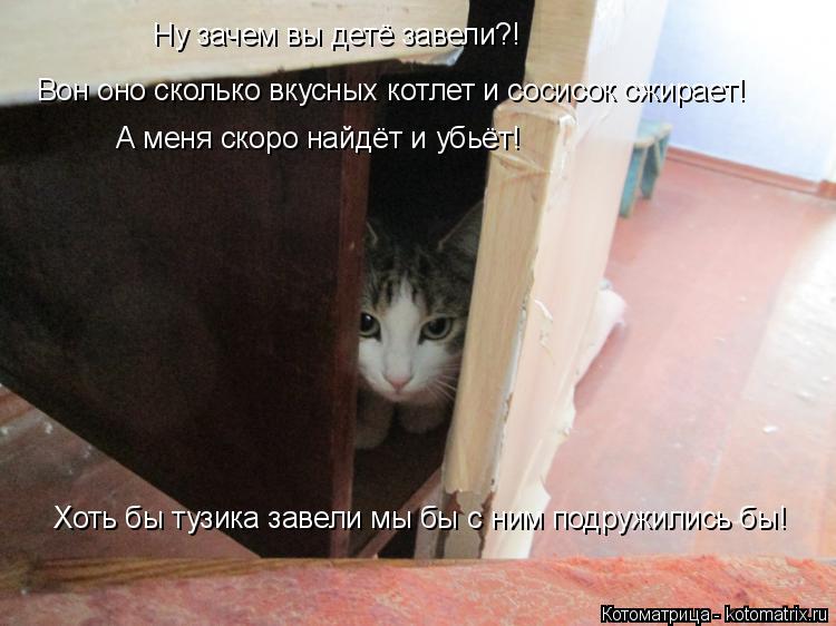Котоматрица: Ну зачем вы детё завели?! Вон оно сколько вкусных котлет и сосисок сжирает! Хоть бы тузика завели мы бы с ним подружились бы! А меня скоро най