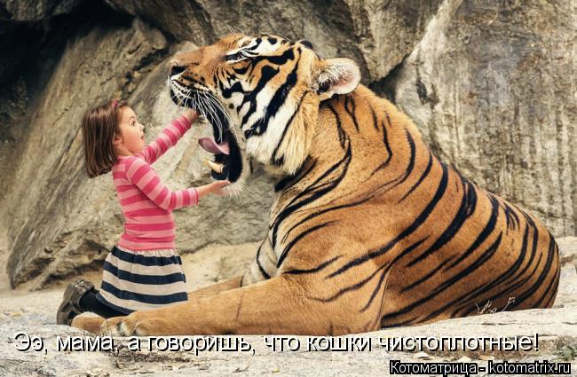Котоматрица: Ээ, мама, а говоришь, что кошки чистоплотные!
