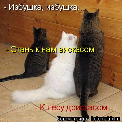 - Избушка, избушка... - Стань к нам вискасом - К лесу дрискасом...... Котоматрица: - Избушка, избушка... - Стань к нам вискасом - К лесу дрискасом...