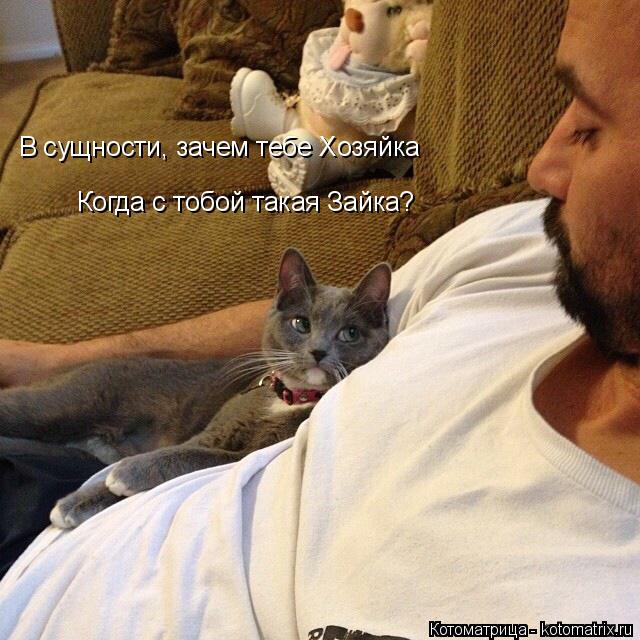 Котоматрица: В сущности, зачем тебе Хозяйка Когда с тобой такая Зайка?