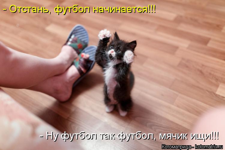 Котоматрица: - Ну футбол так футбол, мячик ищи!!! - Отстань, футбол начинается!!!