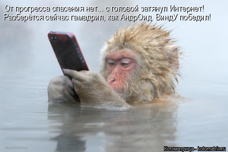 От прогресса спасения нет... с головой затянул Интернет! Разберётся сейчас гамадрил, как АндрОид Вин... Котоматрица: От прогресса спасения нет... с головой затянул Интернет! Разберётся сейчас гамадрил, как АндрОид ВиндУ победил!