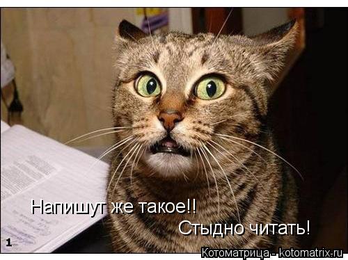 Котоматрица: Напишут же такое!! Стыдно читать!