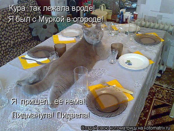 Котоматрица: Кура  так лежала вроде! Я был с Муркой в огороде! Я  пришел.. её нема! Пидманула! Пидвела!