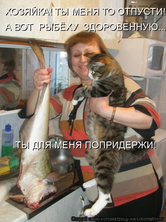Котоматрица: ХОЗЯЙКА! ТЫ МЕНЯ ТО ОТПУСТИ! А ВОТ  РЫБЁХУ  ЗДОРОВЕННУЮ... ТЫ ДЛЯ МЕНЯ ПОПРИДЕРЖИ!