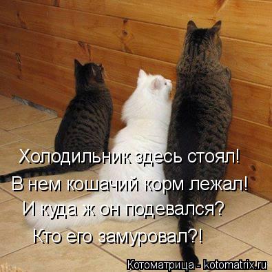 Котоматрица: Холодильник здесь стоял! В нем кошачий корм лежал! И куда ж он подевался? Кто его замуровал?!