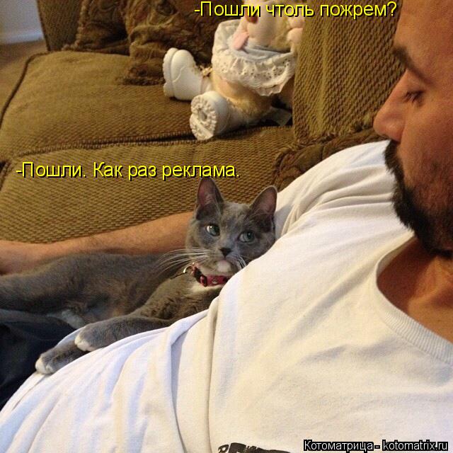 Котоматрица: -Пошли чтоль пожрем? -Пошли. Как раз реклама.
