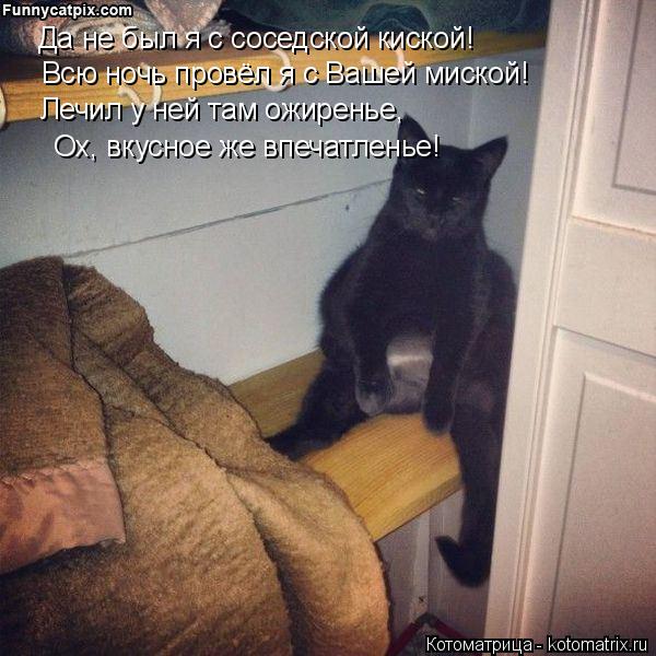 Котоматрица: Да не был я с соседской киской! Всю ночь провёл я с Вашей миской! Лечил у ней там ожиренье, Ох, вкусное же впечатленье!