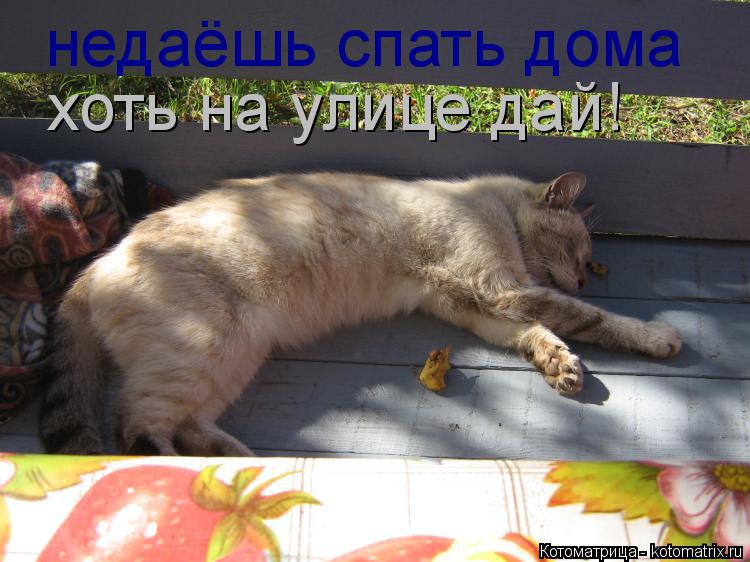 Котоматрица: недаёшь спать дома хоть на улице дай!