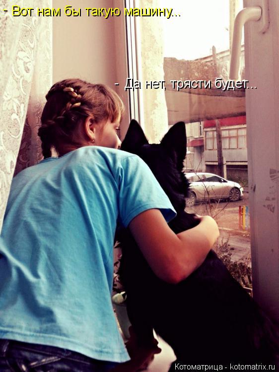 Котоматрица: Вот нам бы такую машину... Да нет, трясти будет... - -
