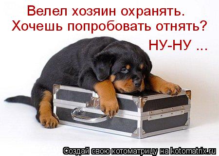 Котоматрица: Велел хозяин охранять. Хочешь попробовать отнять? НУ-НУ ...