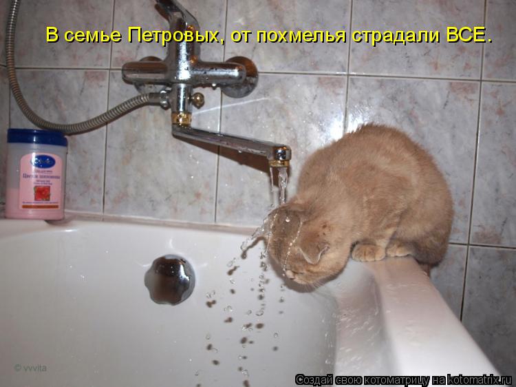 Котоматрица: В семье Петровых, от похмелья страдали ВСЕ.