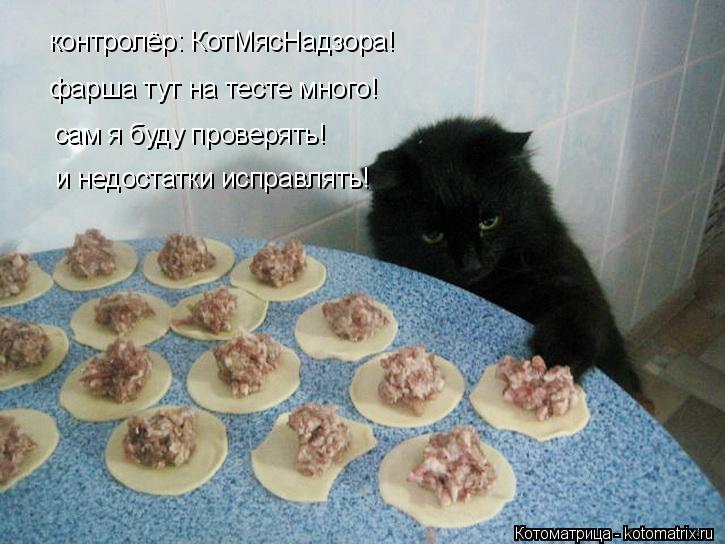 Котоматрица: контролёр: КотМясНадзора! фарша тут на тесте много! сам я буду проверять! и недостатки исправлять!