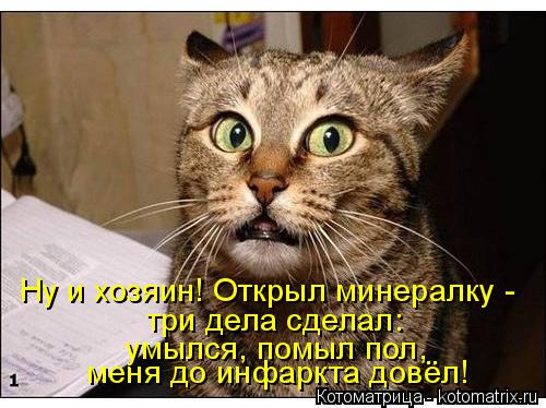 Котоматрица: Ну и хозяин! Открыл минералку -  меня до инфаркта довёл! умылся, помыл пол, три дела сделал: