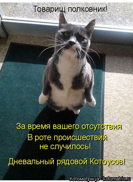 Товарищ полковник! За время вашего отсутствия В роте происшествий не случилось! Дневальный рядовой Ко... Котоматрица: Товарищ полковник! За время вашего отсутствия В роте происшествий не случилось! Дневальный рядовой Котоусов!