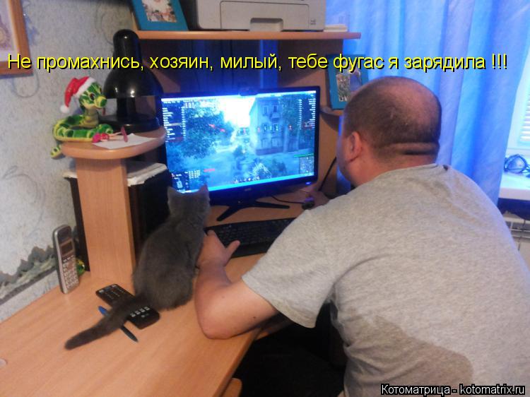 Котоматрица: Не промахнись, хозяин, милый, тебе фугас я зарядила !!!