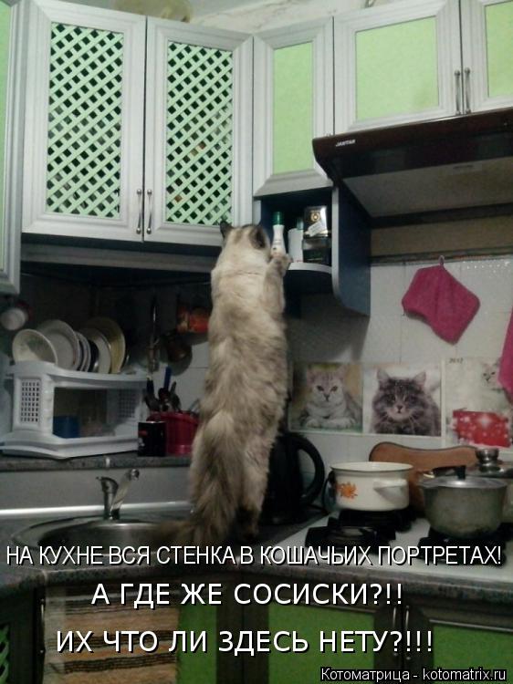 Котоматрица: НА КУХНЕ ВСЯ СТЕНКА В КОШАЧЬИХ ПОРТРЕТАХ! А ГДЕ ЖЕ СОСИСКИ?!! ИХ ЧТО ЛИ ЗДЕСЬ НЕТУ?!!!