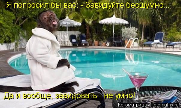 Котоматрица: Я попросил бы вас: - Завидуйте бесшумно...  Да и вообще, завидовать - не умно!