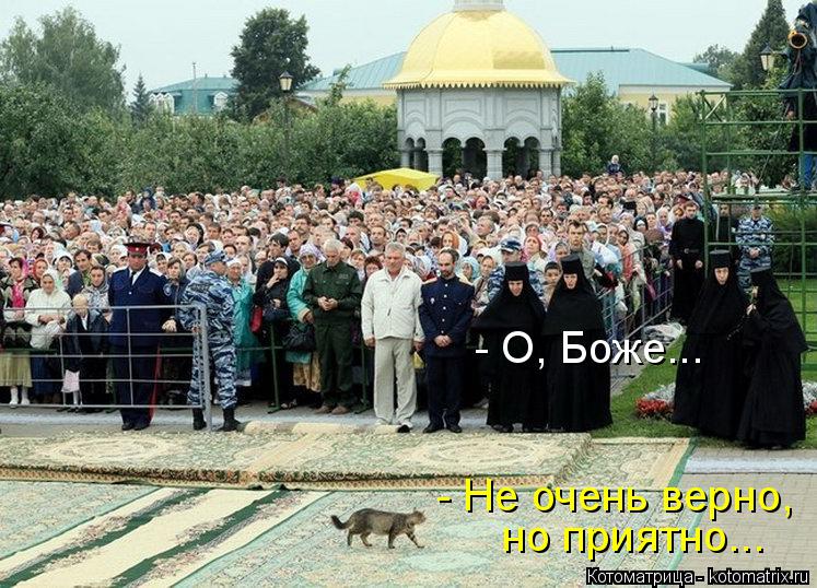 Котоматрица: - О, Боже... - Не очень верно,  но приятно...